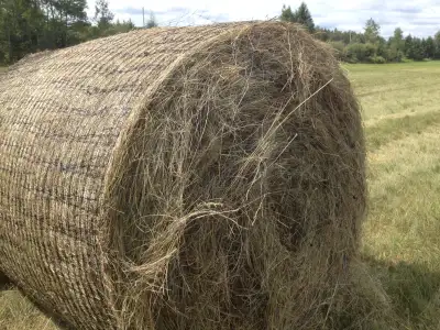 Round Hay Bales, View more