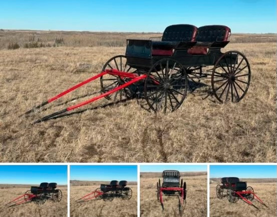 4 Seater Buggy in Equestrian & Livestock Accessories in Lethbridge