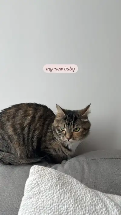 I am traveling for four months so i need someone to adopt her asap