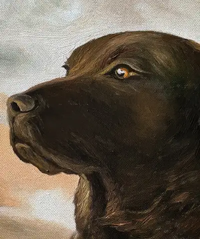 Customized pet portraits from your photos., View more