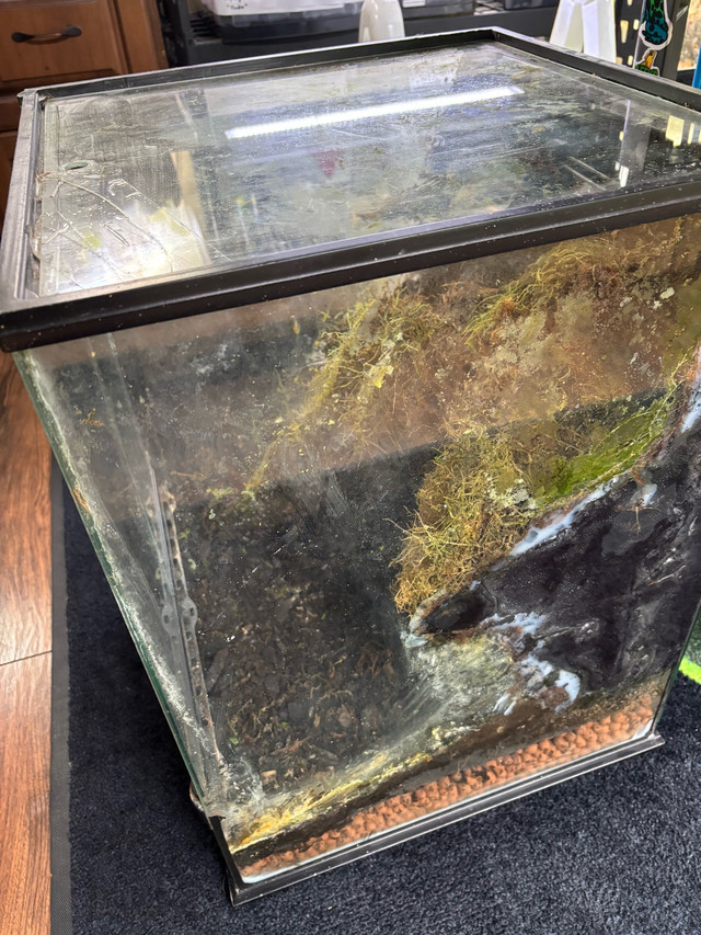 Exo Terra Dart Frog Enclosure in Reptiles & Amphibians for Rehoming in Kawartha Lakes - Image 3
