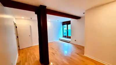 Charmant appt de style loft, 2 chambres, VIEUX-MONTRÉAL
