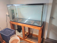 80 gal tank with glass top and LED lightbar