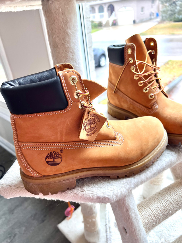 Men’s Timberland Premium 6-inch Waterproof Boot in Men's Shoes in Hamilton - Image 2
