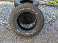 Tire Firestone 