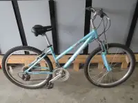 mountain and folding bike