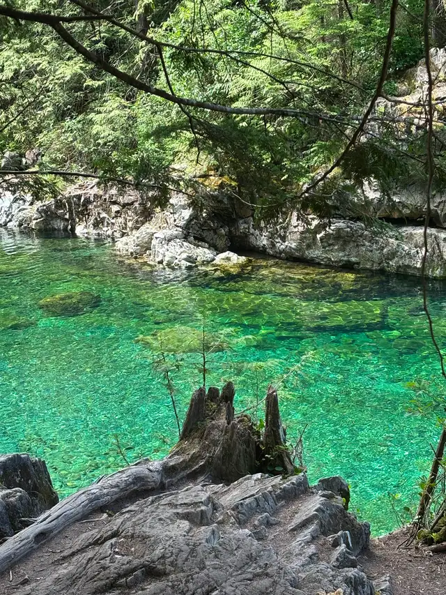 1.1 acreage for sale in beautiful Bamfield Vancouver Island . in Land for Sale in Nanaimo - Image 4