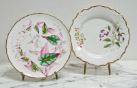 Pair Antique Botanical Ridgway George Jones Hand Painted Floral