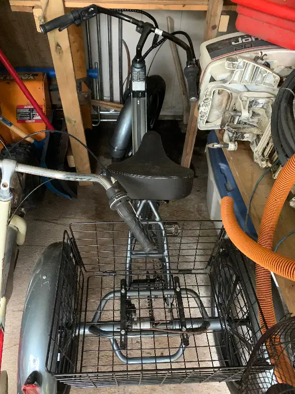 Electric tricycle in eBike in Hamilton - Image 3