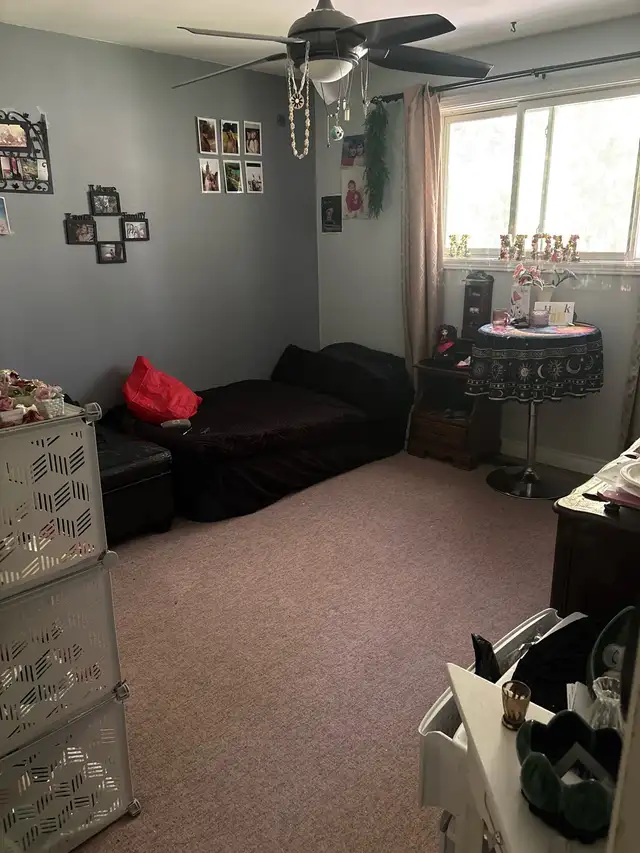 Room for rent (women only) available November 1st in Room Rentals & Roommates in Kingston - Image 5
