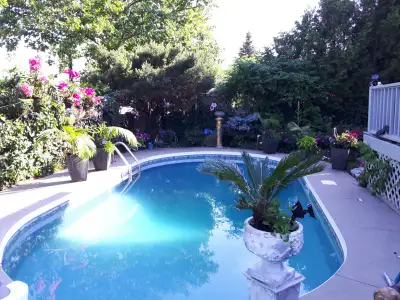 Queensize room in executive home with outdoor pool TRaf Upper mi