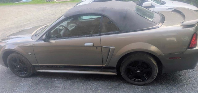 Ford Mustang 2002 décapotable — photo 3