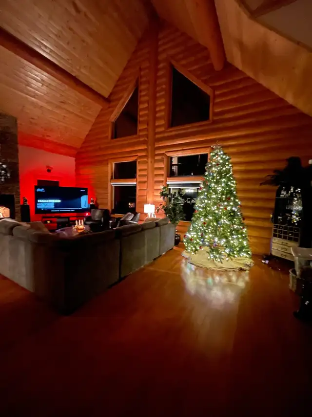 Christmas decor  in Home Décor & Accents in St. Albert - Image 10