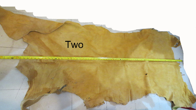 4 pieces of buckskin - from Tweed-One solid color-LIght Shadows in Other in Trenton - Image 3