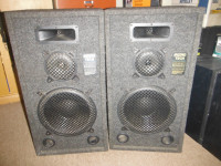 Vintage Audio Tech Speakers - Pro Poly Series 250 Watts