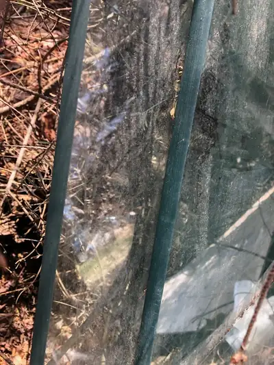 heavy glass panels , 5/8 thick, View more