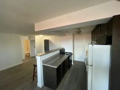 1 bedroom condo available for rent