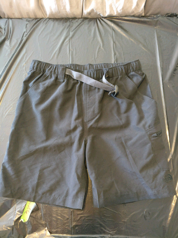 Swim Trunks in Men's in Edmonton - Image 4