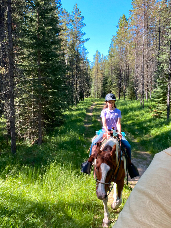 Horsemanship and riding lessons western sytle in Equestrian & Livestock Accessories in Banff / Canmore - Image 2