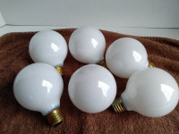 Incandescent Globe Bulbs (6)