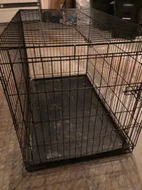 Collapsible dog crate