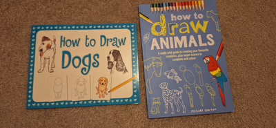 How to Draw Animals books, Set of 2, View more