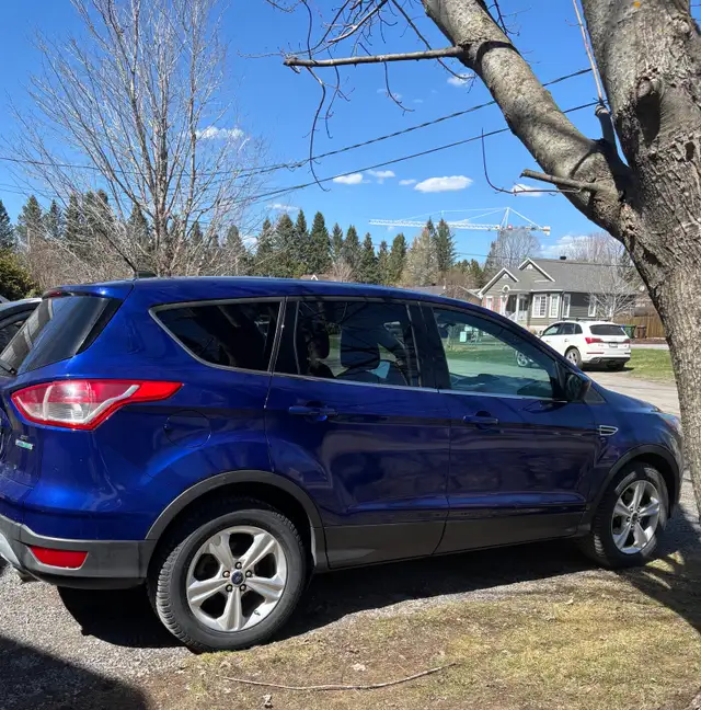 2014 Ford Escape450229989132226561