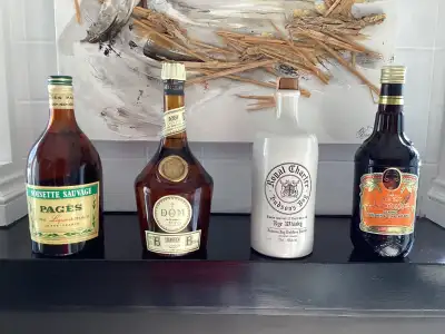 Lot de 4 bouteilles '' Vintage'' 1) Royal Charter Hudson's Bay 750ml/40% 2) B and B Liqueur D.O.M.....