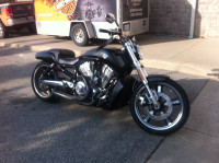 2010 VRod muscle 