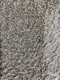 Carpet 12 x12 Grey