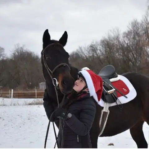 Horseback Riding64639729670786120