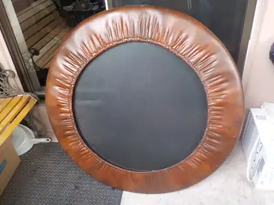 TRUMPOLIN GENUENE LEATHER BOWN COLOR, View more