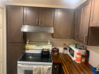  1  Bedroom + Den basement all inclusive with Parking, wifi 