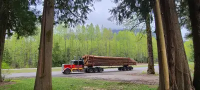 2024 Peterbilt 389 Tri Drive Kms 246182 Hrs 4754 X15 Cummings motor 800,000 engine warrenty Oil chan...