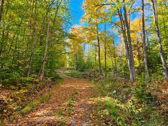 Land for sale - Reduced Price