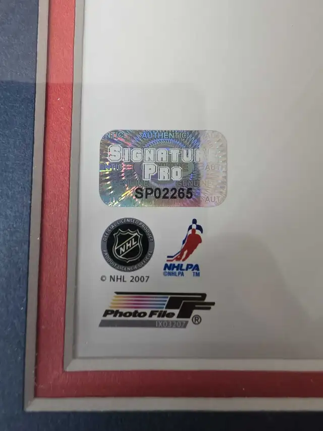 ALEX OVECHKIN  in Hockey in Drummondville - Image 5