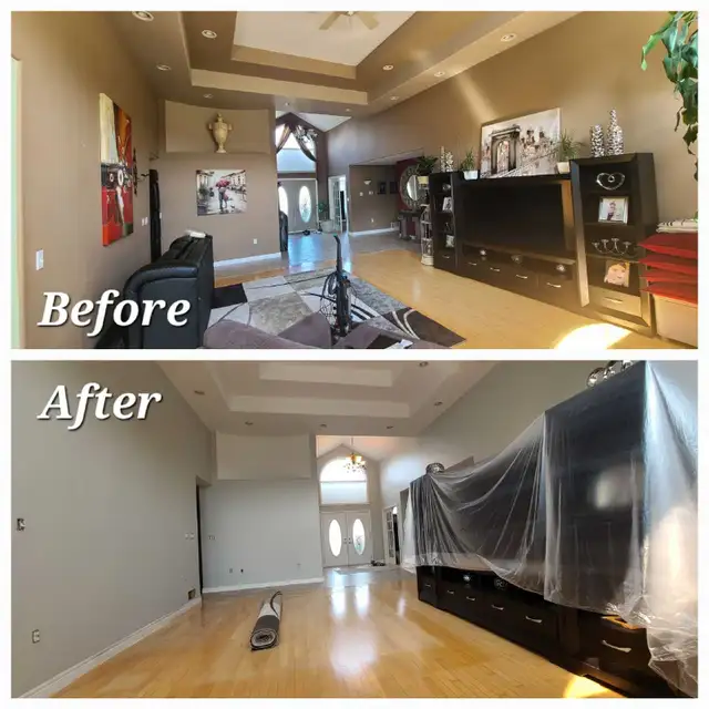 Professional Painter 482653092541911043