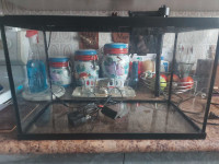 10 gal tank with hood and light and filter