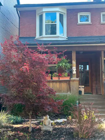 Bright, tree-top studio in Riverdale available for August 1st