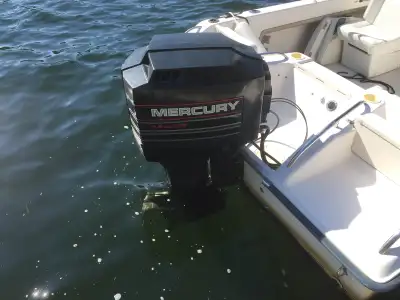 19 1/2 ft (incl new low impact hull design). Full covers including bow. Est 20 hrs per summer since...