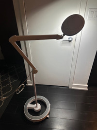 Esthetics Magnifying Lamp