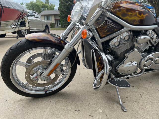 Harley VRod by owner in Sport Touring in Moose Jaw - Image 4