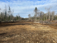 Land clearing/standing timber wanted