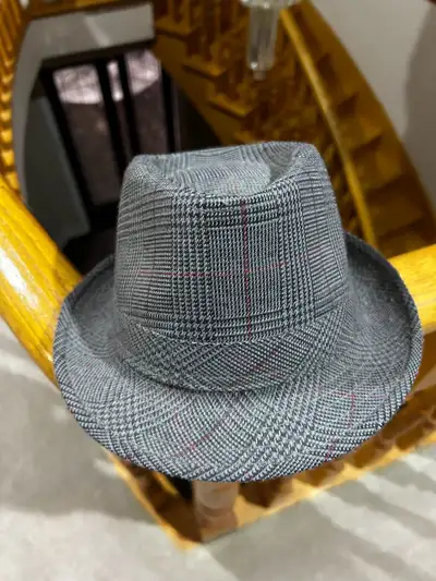 Men’s Fedora Hat, View more