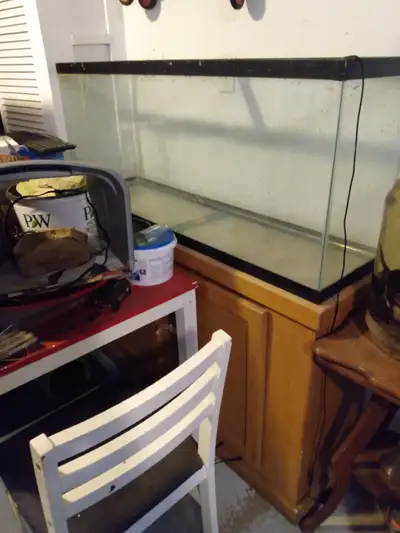 55 gallon fish tank with stand for sale west end Guelph, View more