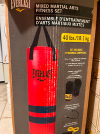 Sac de frappe Everlast 40 lbs (punching bag)