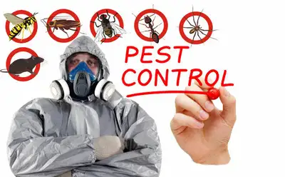 BED BUG, MICE , ROACH service start 100 $ call  647-609-8202, View more