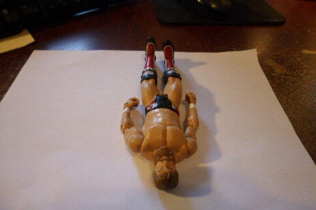 Daniel Bryan Wrestling figure wwe wwf mattel 2013 Walmart Supers dans Art et objets de collection  à Victoriaville - Image 3