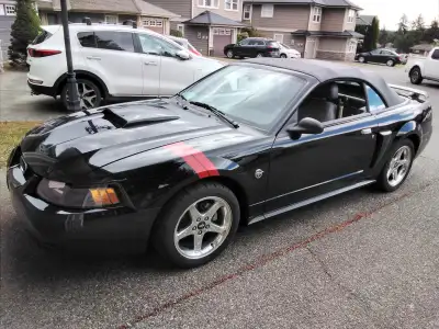 2004 Ford Mustang gt 40 anniversary black with deluxe (leather) interior with 53531 original km. Thi...