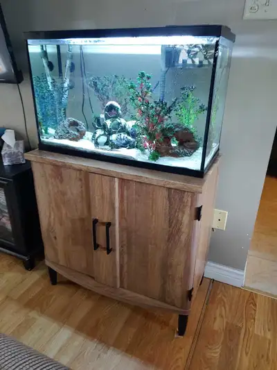 29 gallon fish tank, stand and fish, View more